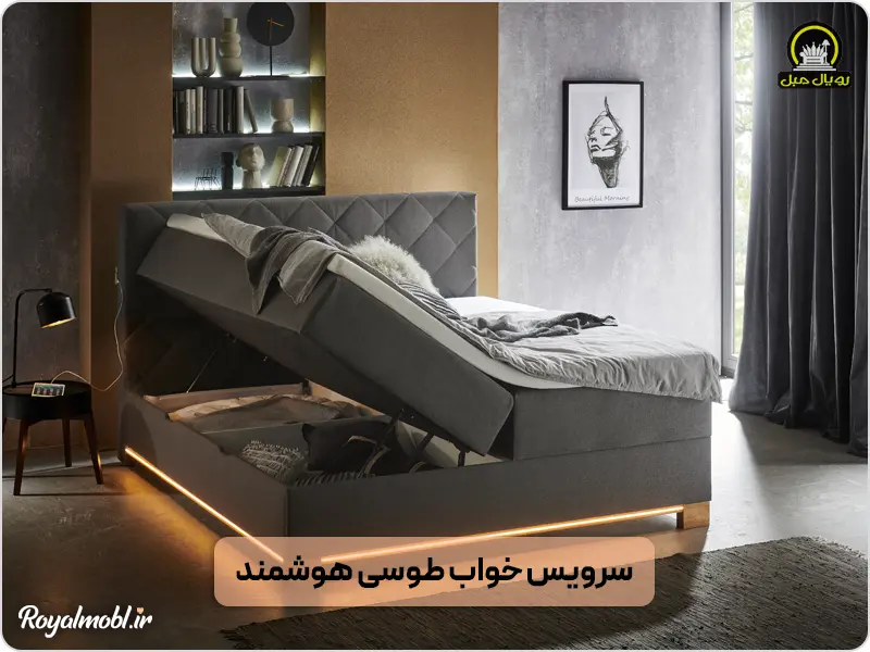 سرویس خواب طوسی هوشمند
