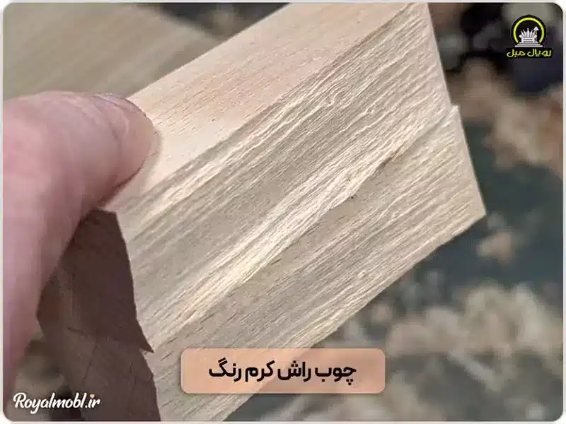 بافت چوب راش کرم رنگ