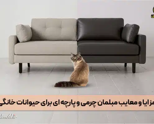 مزایا و معایب مبلمان چرمی و پارچه ای برای حیوانات خانگی