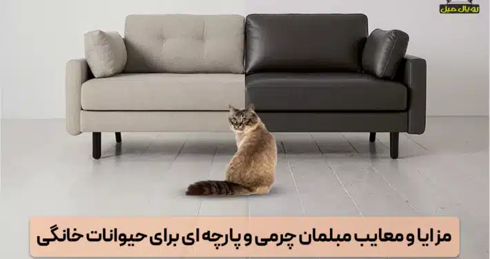 مزایا و معایب مبلمان چرمی و پارچه ای برای حیوانات خانگی