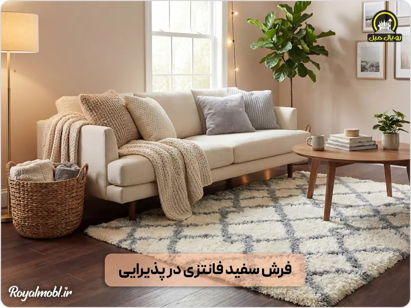 دکوراسیون مبلمان منزل با فرش