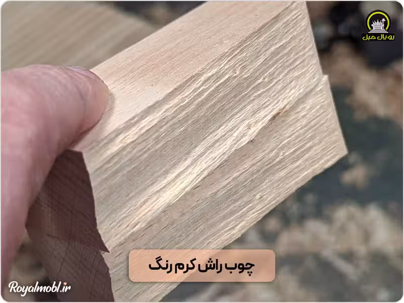 چوب راش