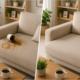چگونه لکه چای و قهوه را از روی مبل پاک کنیم؟